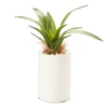 Mini Faux Greenery In White Ceramic Pot -Home Improvement Sale 810509521
