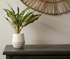 Zebra Plant In Ceramic Pot -Home Improvement Sale 810509522 2