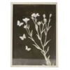 Black & White Butterfly Botanical Framed Art Print -Home Improvement Sale 810552400