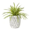 Grass In Arch Pattern Pot 1 Grass In Arch Pattern Pot -Home Improvement Sale 810553579