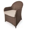 Broyhill Autumn Cove All-Weather Wicker Cushioned Patio Captain's Dining Chair -Home Improvement Sale 810554526