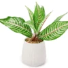 Green Artificial Leafy Arrangement With White Ridged Ceramic Pot -Home Improvement Sale 810561038