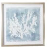 Blue & White Abstract Coral Framed Wall Art -Home Improvement Sale 810561162