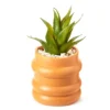 Wild Sedona Artificial Succulent In Orange Ribbed Cement Pot -Home Improvement Sale 810601628 A0 1