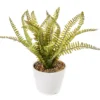 Artificial Fern In White Round Ceramic Pot -Home Improvement Sale 810603843 A0 1