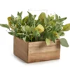 Artificial Greenery With Brown Square Wood Pot & Glass Hurricane -Home Improvement Sale 810604219 A0