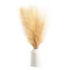 Tan Pampas Grass Arrangement With White Ceramic Pot -Home Improvement Sale 810604675 A0