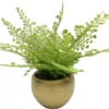 Homeward Artificial Greenery In Gold Cement Pot -Home Improvement Sale 810620678 A0